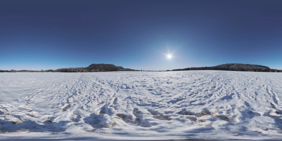 帕森多夫雪景