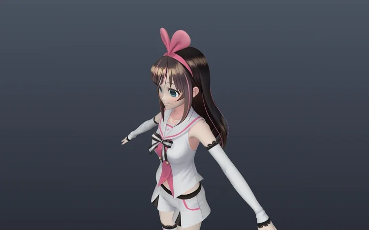 Anime Girl Model Not Rigged
